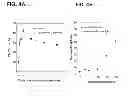 Fig. 06 - Anti-ceramide monoclonal antibody 2A2