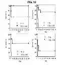 Fig. 15 - Anti-ceramide monoclonal antibody 2A2