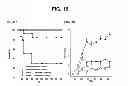 Fig. 18 - Anti-ceramide monoclonal antibody 2A2