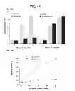 Fig. 19 - Anti-ceramide monoclonal antibody 2A2