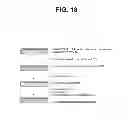 Fig. 22 - Anti-ceramide monoclonal antibody 2A2