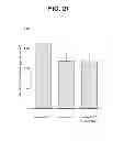 Fig. 26 - Anti-ceramide monoclonal antibody 2A2