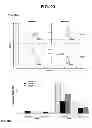 Fig. 29 - Anti-ceramide monoclonal antibody 2A2