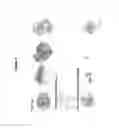 Fig. 08 - Antibodies to interleukin-6