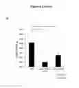 Fig. 09 - Antibodies to interleukin-6