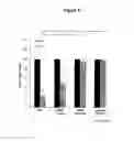 Fig. 10 - Antibodies to interleukin-6