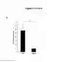 Fig. 13 - Antibodies to interleukin-6