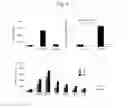 Fig. 03 - AGONISTIC ANTIBODY TO CD27