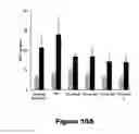 Fig. 11 - Recombinant mycobacterium avium subsp. paratuberculosis proteins induce immunity and protect against infection