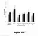 Fig. 12 - Recombinant mycobacterium avium subsp. paratuberculosis proteins induce immunity and protect against infection