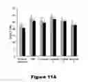 Fig. 15 - Recombinant mycobacterium avium subsp. paratuberculosis proteins induce immunity and protect against infection