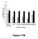Fig. 16 - Recombinant mycobacterium avium subsp. paratuberculosis proteins induce immunity and protect against infection