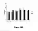Fig. 17 - Recombinant mycobacterium avium subsp. paratuberculosis proteins induce immunity and protect against infection