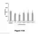 Fig. 20 - Recombinant mycobacterium avium subsp. paratuberculosis proteins induce immunity and protect against infection