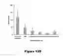 Fig. 23 - Recombinant mycobacterium avium subsp. paratuberculosis proteins induce immunity and protect against infection