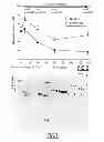 Fig. 03 - Biomarkers of immunotherapy efficacy