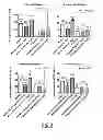 Fig. 07 - Biomarkers of immunotherapy efficacy