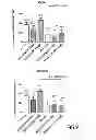 Fig. 08 - Biomarkers of immunotherapy efficacy