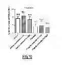 Fig. 09 - Biomarkers of immunotherapy efficacy