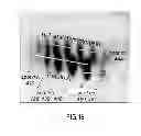 Fig. 12 - Biomarkers of immunotherapy efficacy