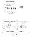 Fig. 13 - Biomarkers of immunotherapy efficacy