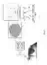 Fig. 02 - Analegisic (Sebacoyl dinalbuphine ester) PLGA controlled release formulation form