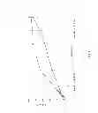 Fig. 05 - Analegisic (Sebacoyl dinalbuphine ester) PLGA controlled release formulation form