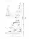 Fig. 06 - Analegisic (Sebacoyl dinalbuphine ester) PLGA controlled release formulation form