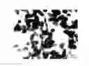 Fig. 01 - Rutile-type titanium dioxide and cosmetics using the same