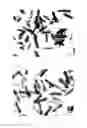 Fig. 02 - Rutile-type titanium dioxide and cosmetics using the same