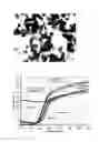 Fig. 04 - Rutile-type titanium dioxide and cosmetics using the same