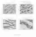 Fig. 02 - Adhesive composition for carrying therapeutic agents as delivery vehicle on coating applied to vascular grafts