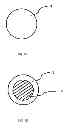 Fig. 02 - Edible Product