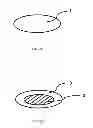 Fig. 03 - Edible Product