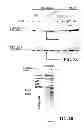 Fig. 03 - Allogeneic autophagosome-enriched composition for the treatment of disease