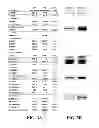 Fig. 04 - Allogeneic autophagosome-enriched composition for the treatment of disease