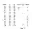 Fig. 06 - Allogeneic autophagosome-enriched composition for the treatment of disease