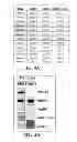 Fig. 07 - Allogeneic autophagosome-enriched composition for the treatment of disease