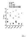 Fig. 09 - Allogeneic autophagosome-enriched composition for the treatment of disease