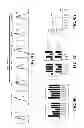 Fig. 12 - Allogeneic autophagosome-enriched composition for the treatment of disease