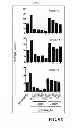 Fig. 13 - Allogeneic autophagosome-enriched composition for the treatment of disease