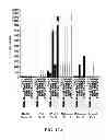 Fig. 16 - Allogeneic autophagosome-enriched composition for the treatment of disease