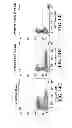 Fig. 22 - Allogeneic autophagosome-enriched composition for the treatment of disease