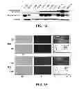 Fig. 02 - METHODS OF DETERMINING WHETHER THE WNT SIGNALING PATHWAY IS UPREGULATED IN A TUMOR