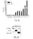 Fig. 03 - METHODS OF DETERMINING WHETHER THE WNT SIGNALING PATHWAY IS UPREGULATED IN A TUMOR