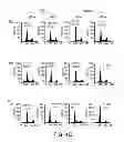 Fig. 08 - METHODS OF DETERMINING WHETHER THE WNT SIGNALING PATHWAY IS UPREGULATED IN A TUMOR