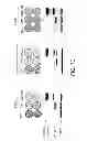 Fig. 12 - METHODS OF DETERMINING WHETHER THE WNT SIGNALING PATHWAY IS UPREGULATED IN A TUMOR