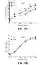 Fig. 19 - METHODS OF DETERMINING WHETHER THE WNT SIGNALING PATHWAY IS UPREGULATED IN A TUMOR