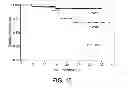 Fig. 22 - METHODS OF DETERMINING WHETHER THE WNT SIGNALING PATHWAY IS UPREGULATED IN A TUMOR