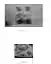 Fig. 02 - COATED COBALT POWDER AND PREPARATION METHOD THEREOF